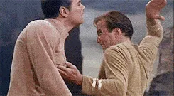 Freelancer vs. Agency