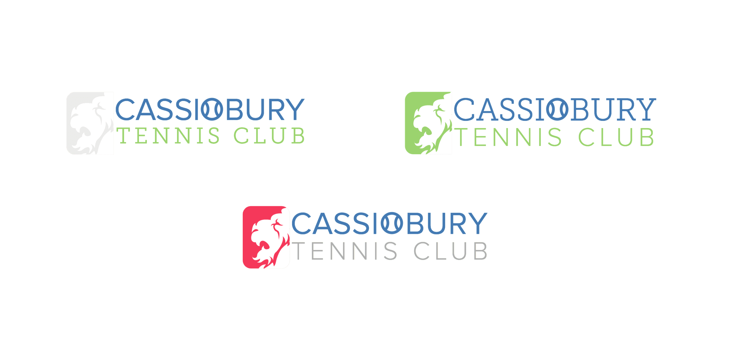 Cassiobury Tennis Club image 11