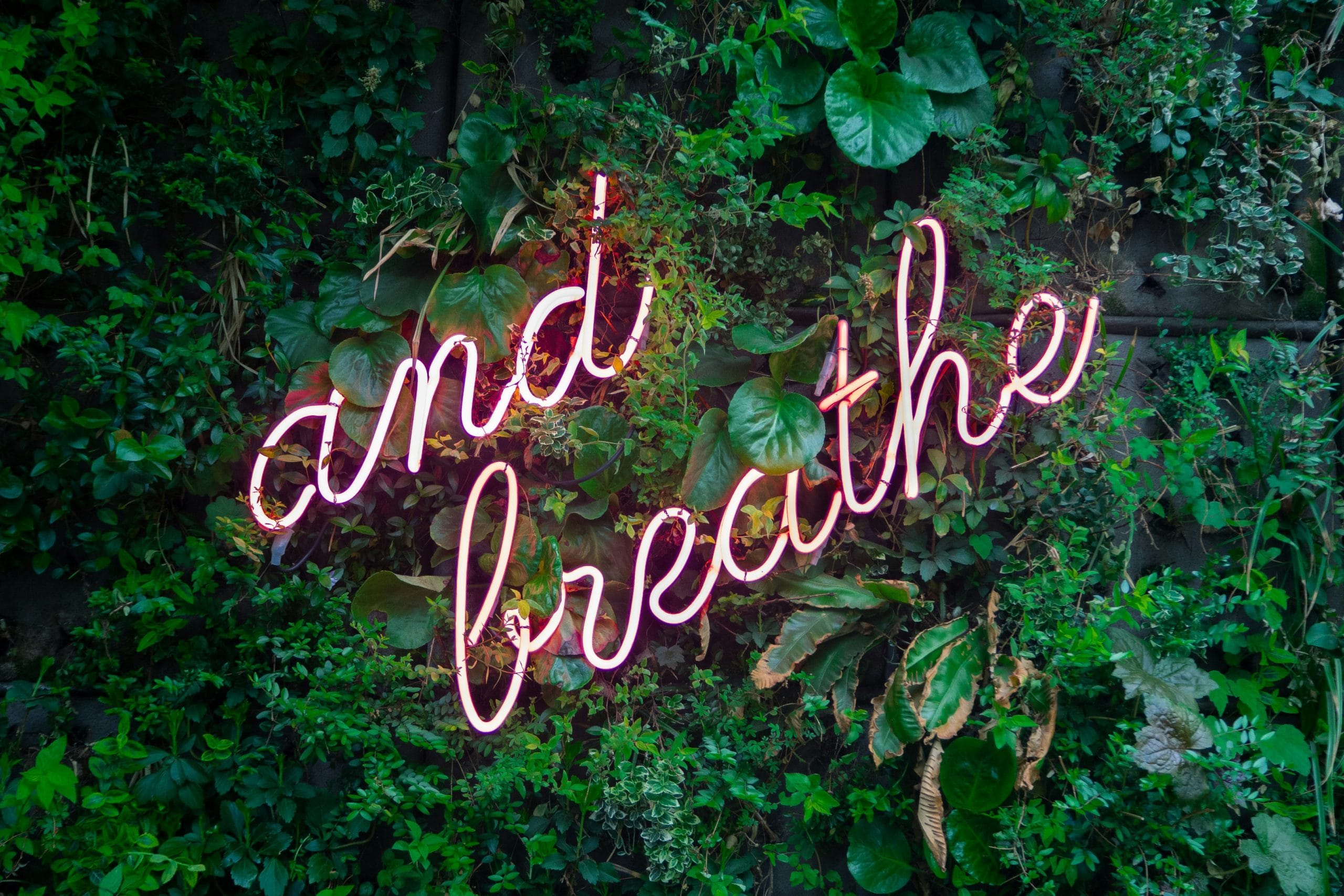 Work-Life Balance for Freelancers: How to Set Boundaries